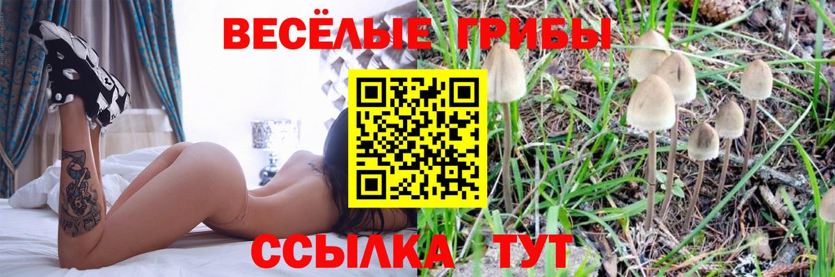 Псилоцибиновые грибы мухоморы  Вход с VPN  Волхов 