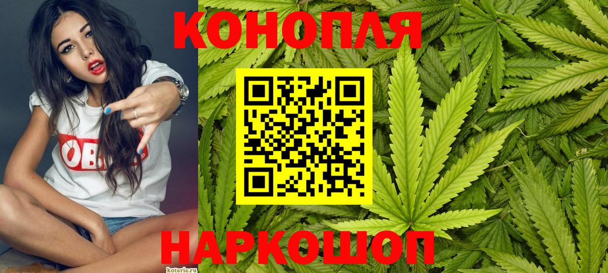 Волхов  Марихуана THC 21%  Вход с VPN  Шишки марихуана марихуана  Бошки Шишки White Widow  Каннабис сатива 